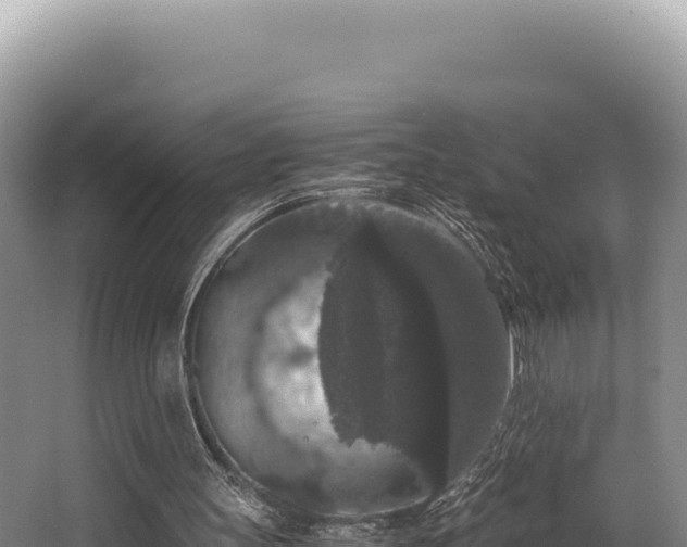 X0000062850147200601171520