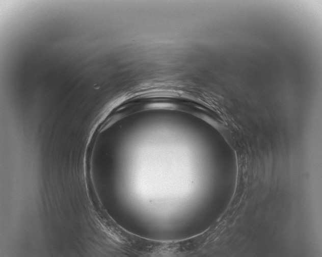 X0000062850148200601171520