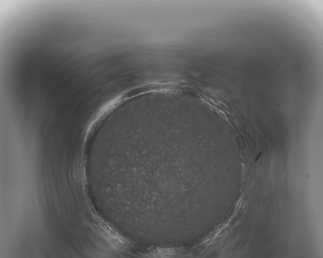 X0000062850149200601171520