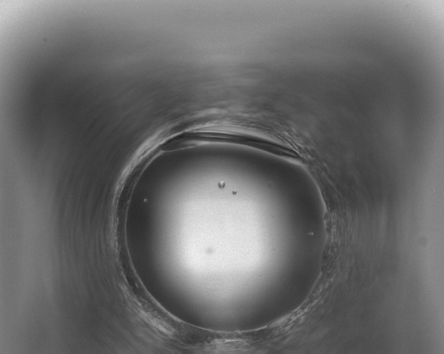 X0000062850150200601171520