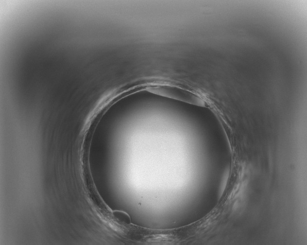 X0000062850151200601171520