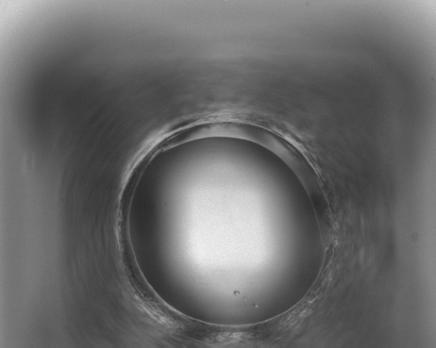 X0000062850152200601171520