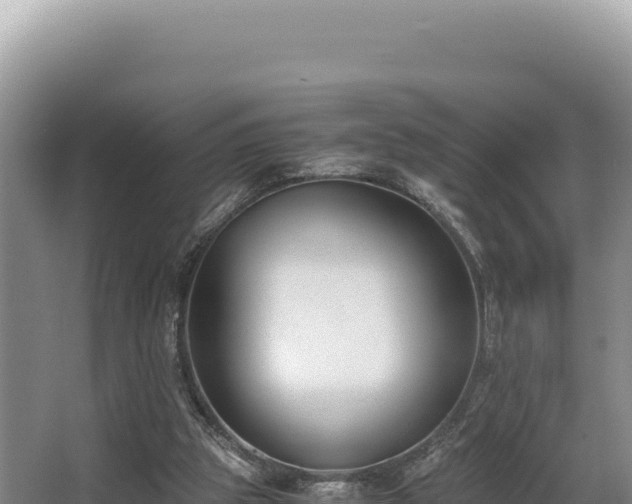 X0000062850153200601171520