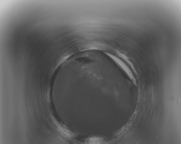 X0000062850154200601171520