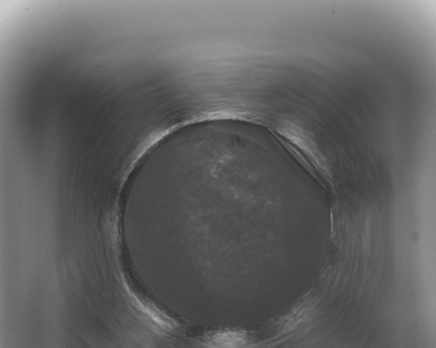 X0000062850156200601171520