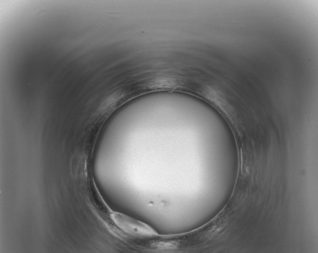 X0000062850157200601171520