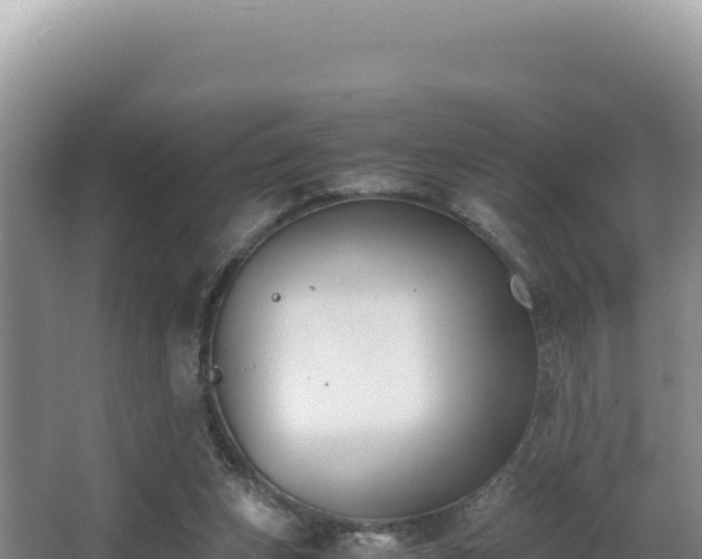 X0000062850159200601171520