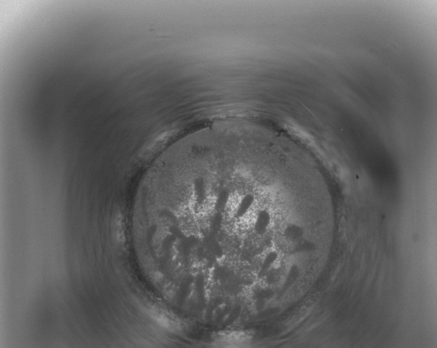 X0000062850161200601171520