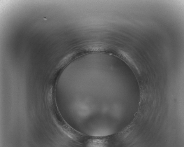 X0000062850163200601171520