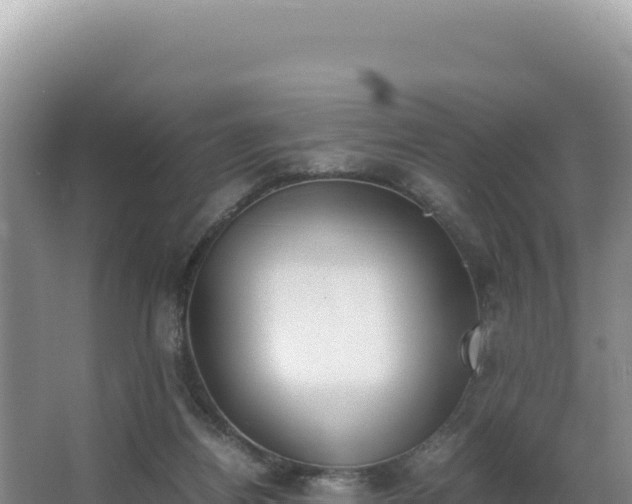 X0000062850164200601171520