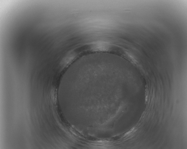 X0000062850168200601171520