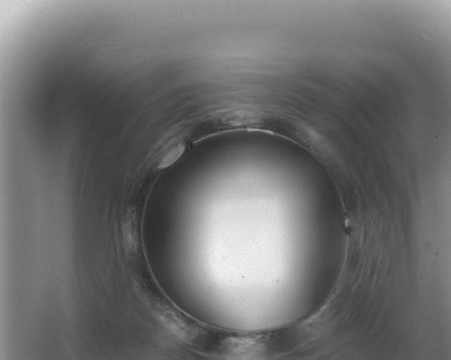 X0000062850170200601171520