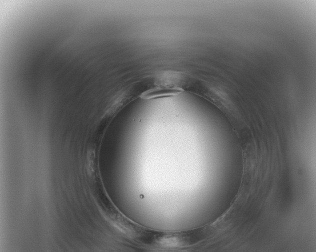 X0000062850171200601171520