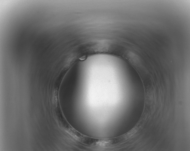 X0000062850172200601171520