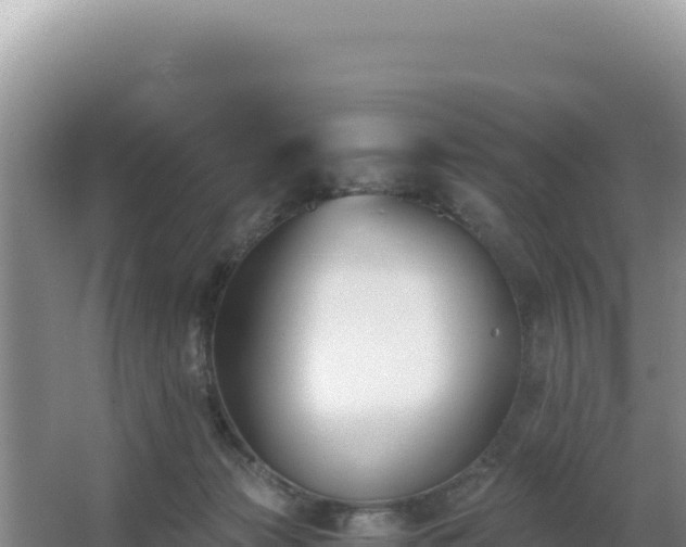 X0000062850173200601171520