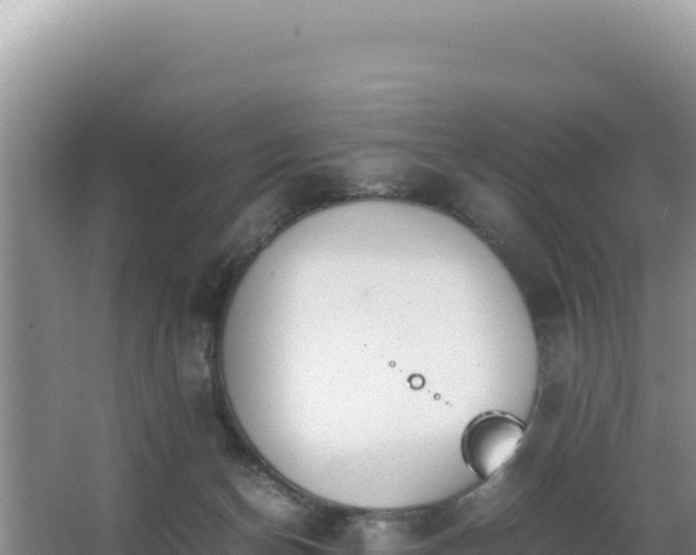 X0000062850174200601171520