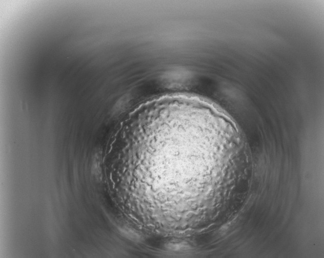 X0000062850175200601171520