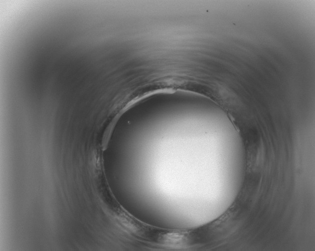 X0000062850176200601171520