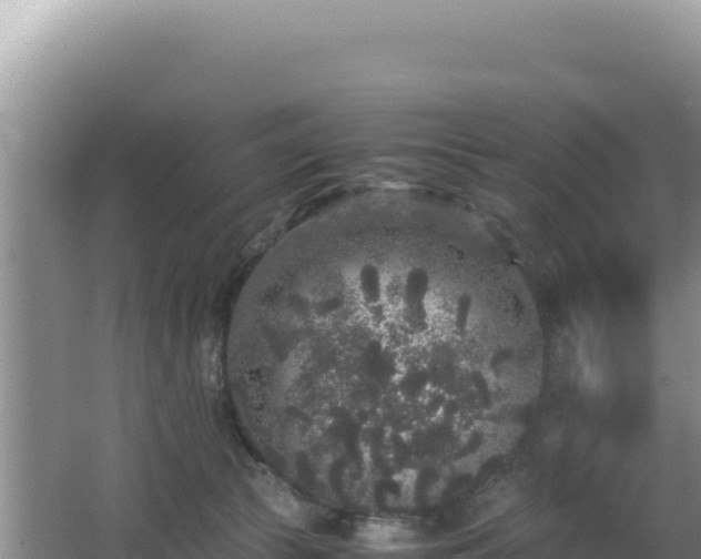 X0000062850177200601171520