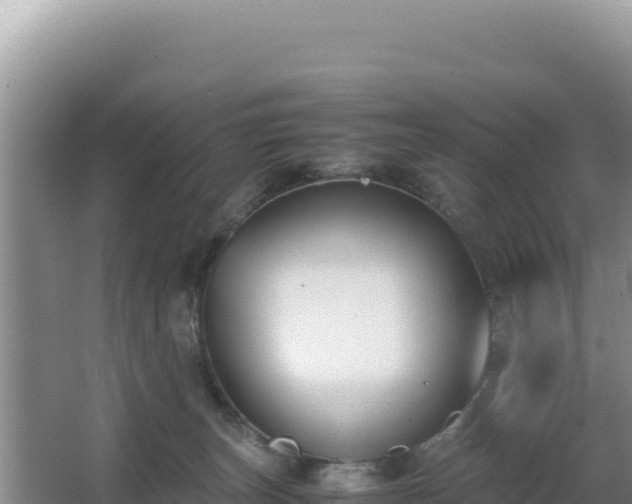 X0000062850179200601171520