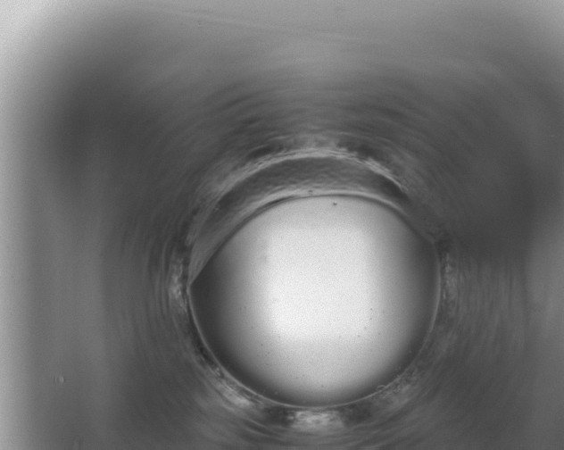 X0000062850185200601171521