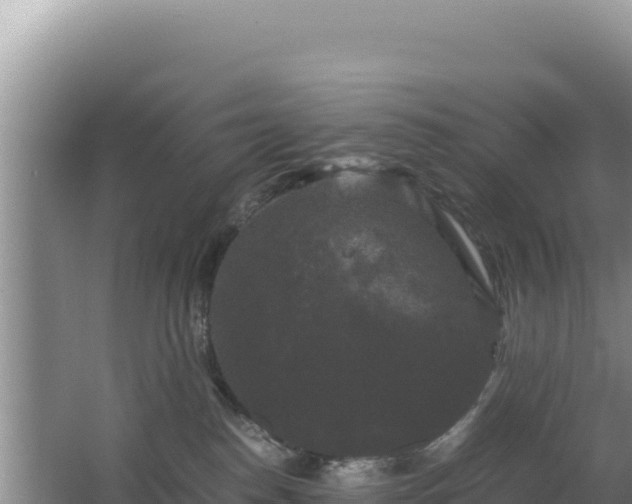 X0000062850186200601171521