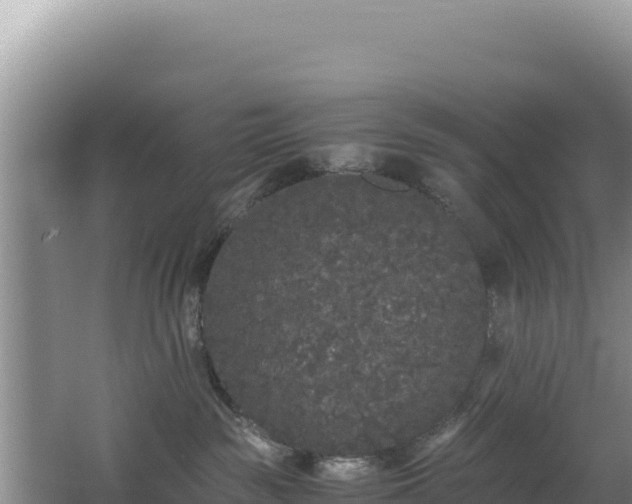 X0000062850189200601171521