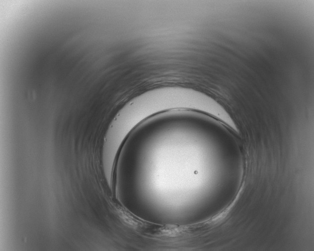 X0000062850190200601171521