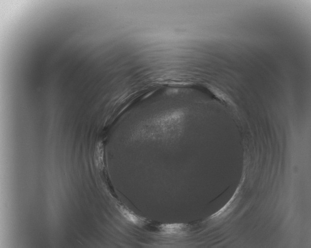 X0000062850192200601171521