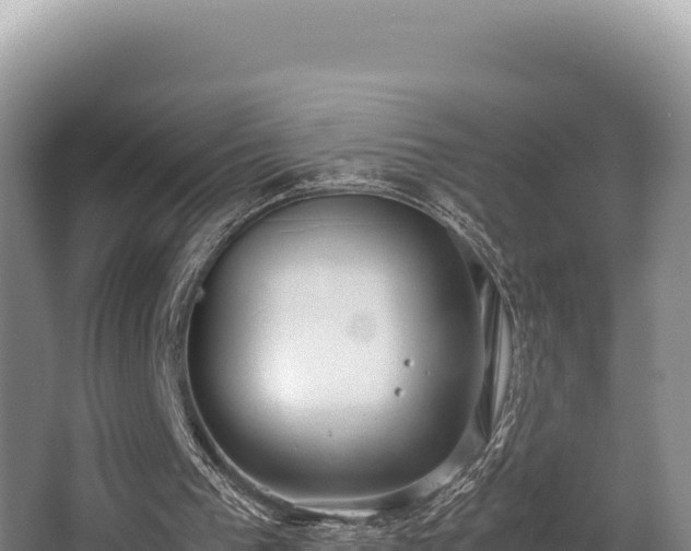 X0000062850193200601171520