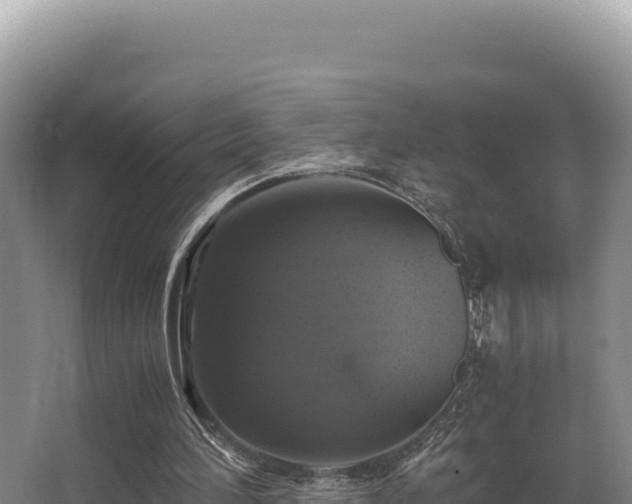 X0000062850196200601171520