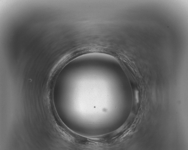 X0000062850197200601171520