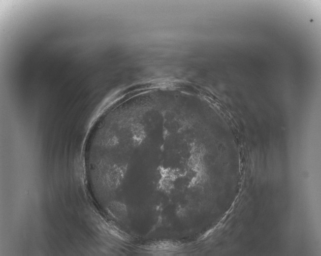 X0000062850198200601171520