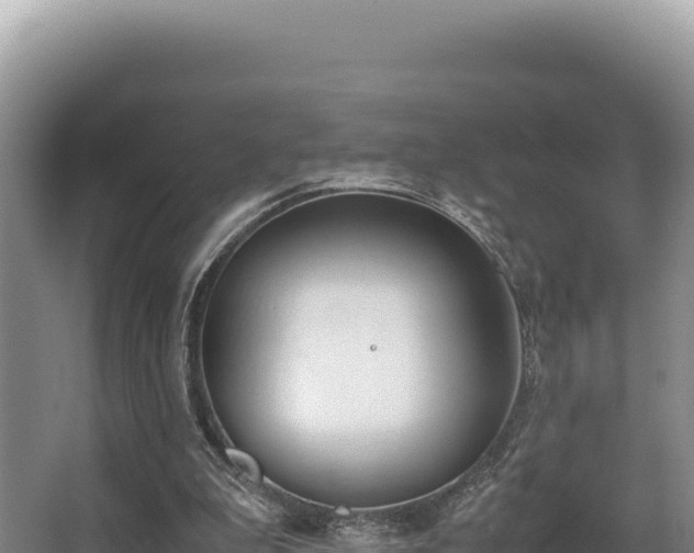 X0000062850199200601171520