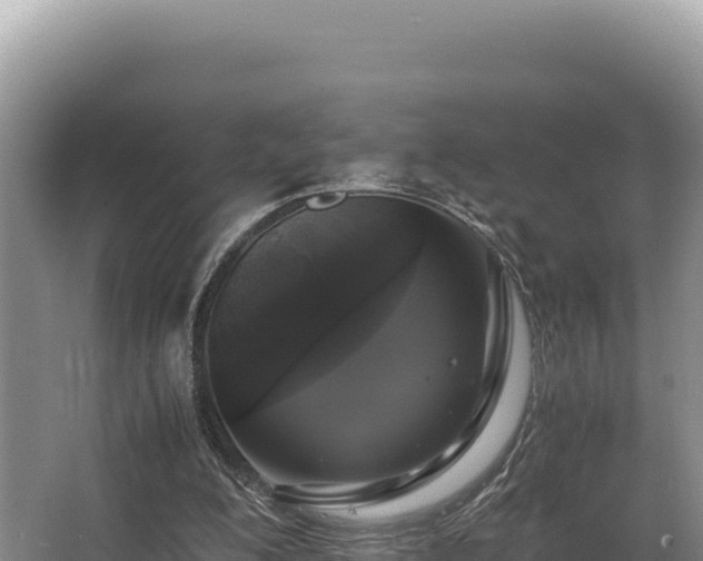 X0000062850200200601171520