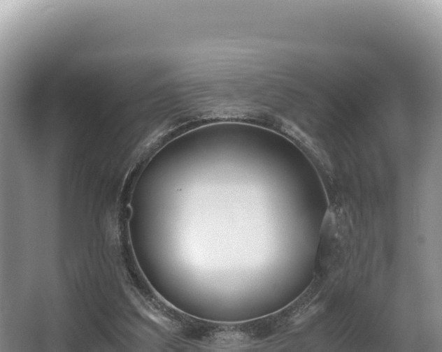 X0000062850203200601171520