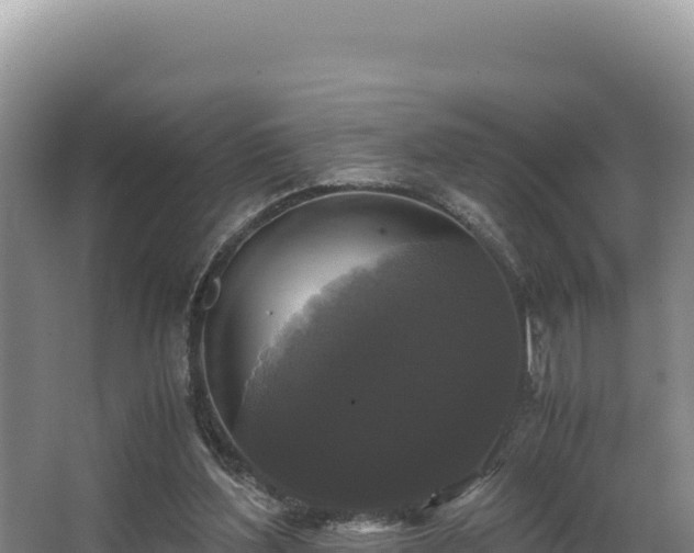 X0000062850204200601171520