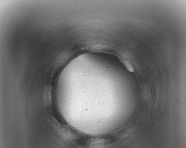 X0000062850206200601171520