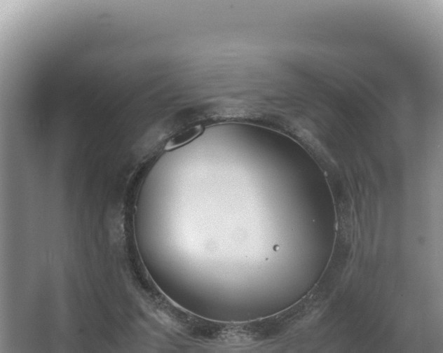 X0000062850207200601171520