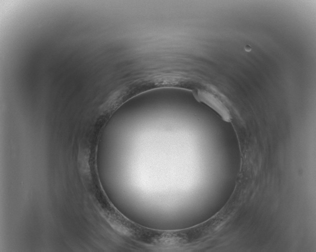 X0000062850209200601171520