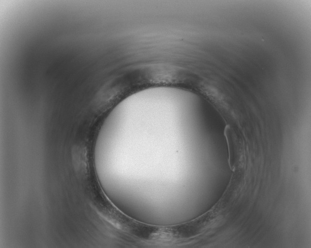 X0000062850211200601171520