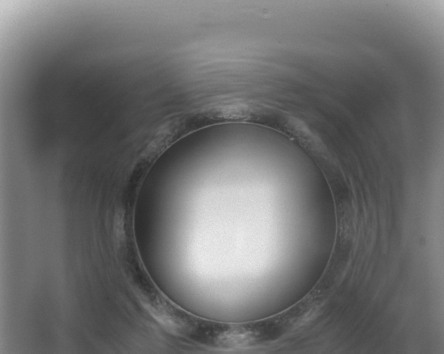 X0000062850213200601171519