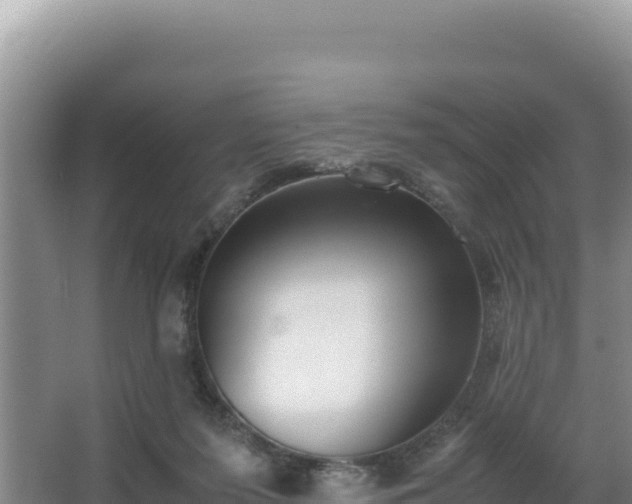 X0000062850215200601171519