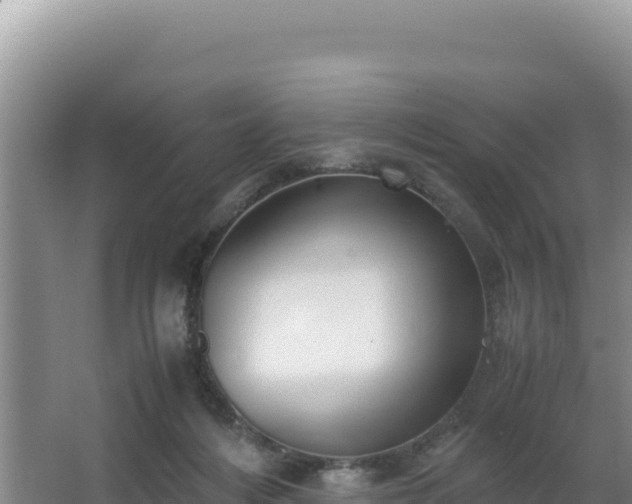 X0000062850216200601171519