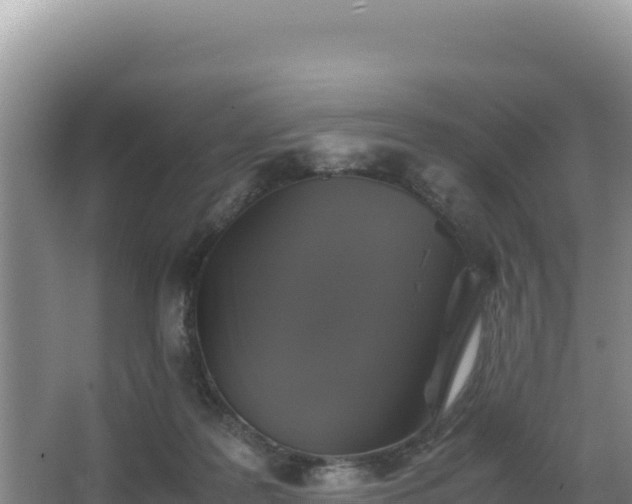 X0000062850219200601171519