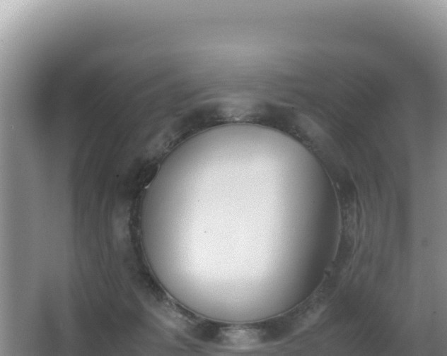 X0000062850221200601171519