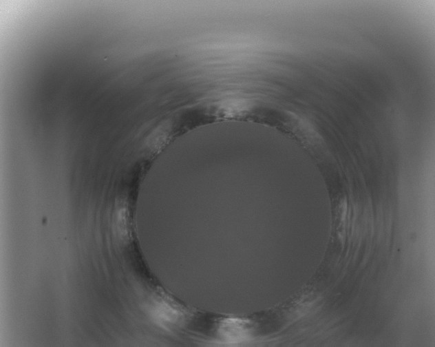 X0000062850222200601171519