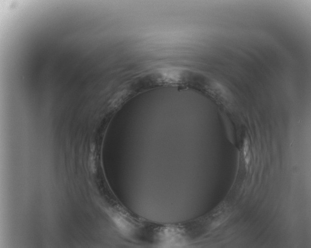 X0000062850223200601171519