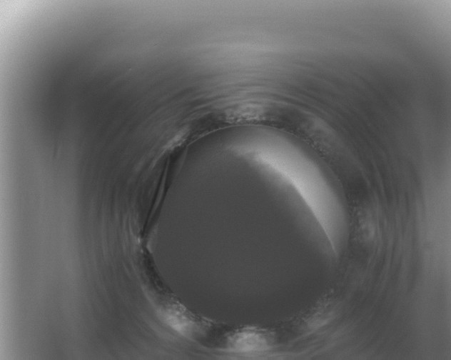 X0000062850224200601171519