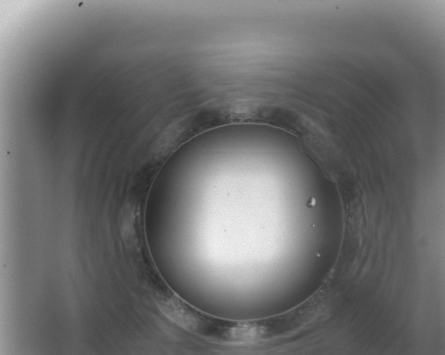 X0000062850225200601171519